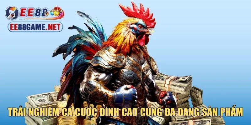 Trải nghiệm cá cược đỉnh cao cùng đa dạng sản phẩm